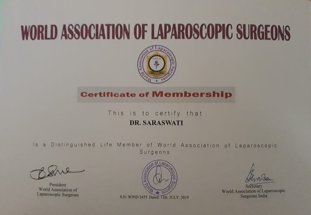 World Association Of Laparoscopic Surgeons